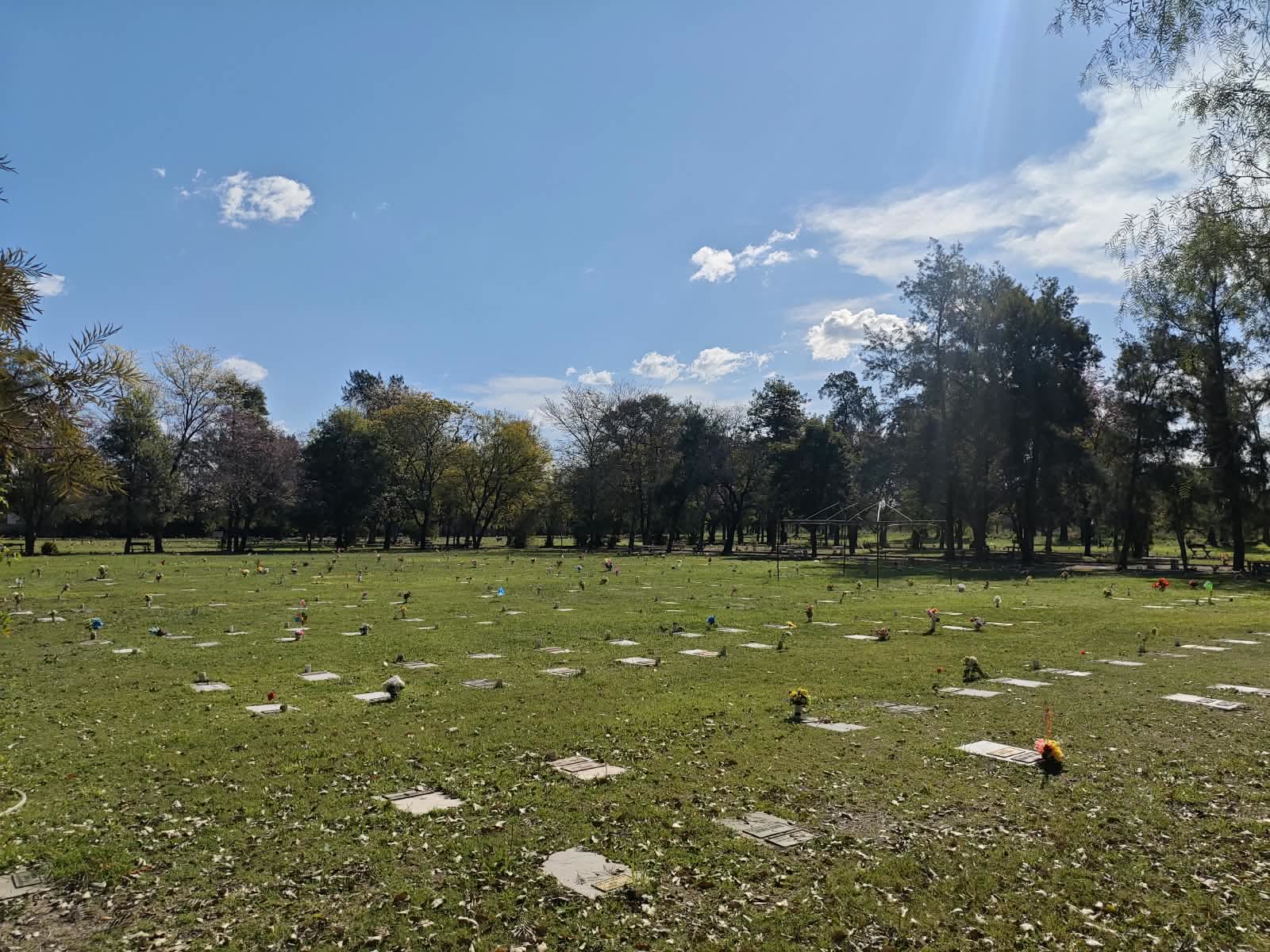 Sector de jardines del parque