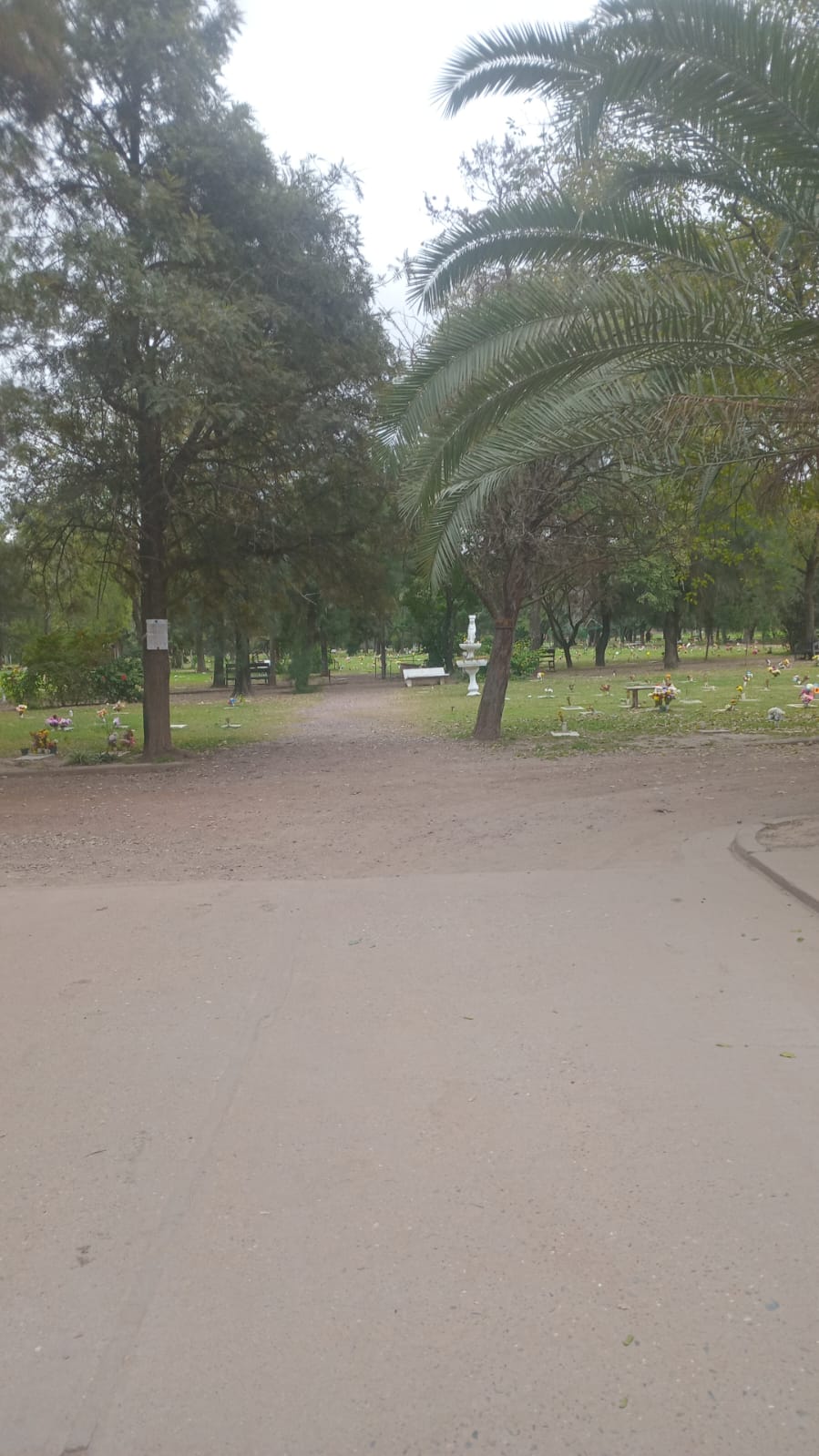 Senderos internos del parque